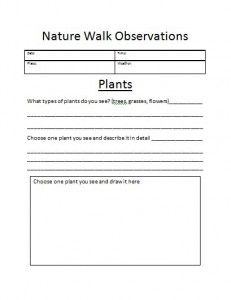 Nature Observation Printables - The Homeschool Scientist Nature Walk Observation Sheet, Nature Walk Activities, Ag Classroom, Nature Observation, Tiger Scouts, Brownie Badges, Basic Science, Second Grade Science, Plants Unit