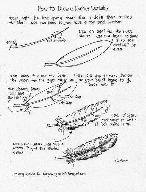 How to draw a feather worksheet see more at my blog: http://drawinglessonsfortheyoungartist.blogspot.com/ Feather Drawing, Feather Art, Art Instructions, Color Pencil, Drawing Lessons, Drawing Tutorials, Chiaroscuro, Doodle Drawings, Drawing Tips