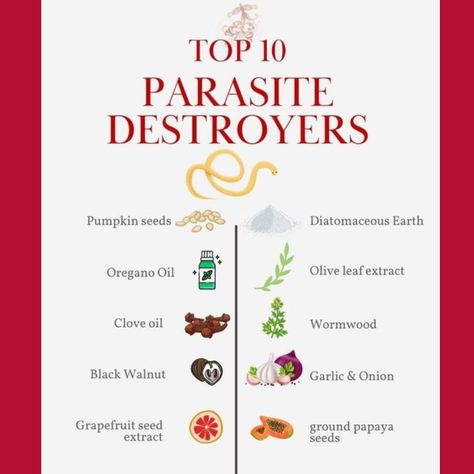 TOP 10 PARASITE DESTROYERS are Pumpkin Seeds, Oregano Oil, Clove Oil, Black Walnut, Grapefruit Seed Extract, Diatomaceous Earth, Olive Leaf Extract, Wormwood, Garlic & Onion and Ground Papaya Seeds. We all carry parasites in our guts and illness is usually a result of PARASITE overload. Here at The Natural Marketplace, we carry a variety of PARASITE CLEANSES that include many of these ingredients. Drop in today and check out our selection! Pumpkin Seed Parasite Cleanse, Black Walnut Parasite Cleanse, Diatomaceous Earth Parasite Cleanse, Natural Dewormer For Humans, Papaya Seeds For Parasites, Diy Parasite Cleanse, Olive Leaf Extract, Herbal Remedies Recipes, Papaya Seeds