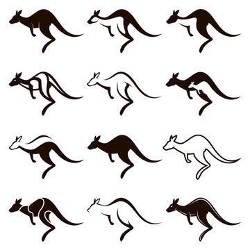 Free Vector Images, The Artist, Kangaroo, Vector Images, Vector Free, Royalty, Royalty Free, Tattoos, Art