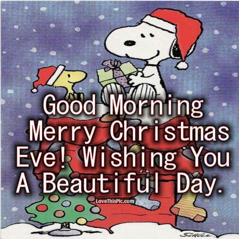 Snoopy Good Morning Christmas Eve Quote Good Morning Christmas Eve, Christmas Eve Quote, Christmas Eve Meme, Funny Christmas Eve Quotes, Snoopy Good Morning, Merry Christmas Eve Quotes, Merry Christmas Charlie Brown, Christmas Eve Quotes, Peanuts Gang Christmas