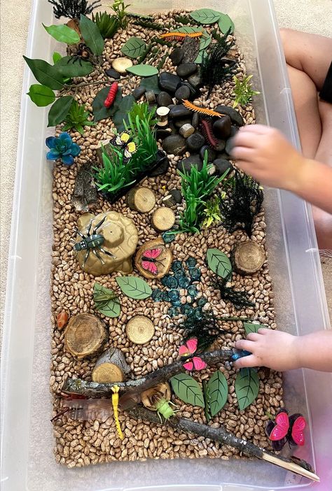 Bug sensory bin. Preschool Exercise Activities, Bug Sensory Bin, Nature Based Preschool, Toddler Sensory Bins, Daycare Themes, Rainforest Theme, Bugs Preschool, Sensory Tubs, Toddler Themes