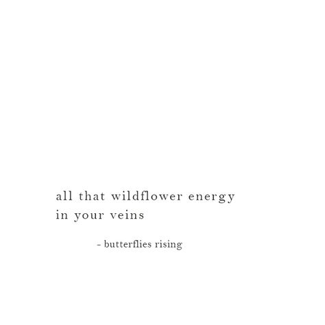 all that wildflower energy in your veins Wildflowers Aesthetic Quotes, Ethereal Qoutes, Wildflower Captions, Wild Flowers Quotes, Quotes About Wildflowers, Wildflowers Quote, Public Domain Quotes, Wildflower Quotes, Rad Quotes