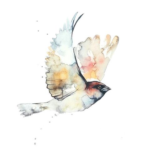 Watercolor Art Birds, Watercolor Sparrow, Sparrow Watercolor, Flying Sparrow, Chicken Watercolor, Sparrow Drawing, Watercolour Birds, Watercolor Bird Tattoo, Bird Artists