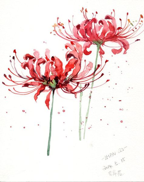 Spider Lily, Lily, Flowers, Red, Anime