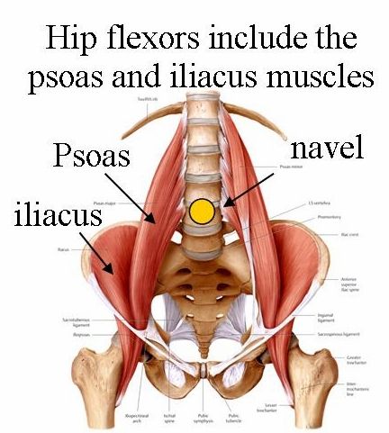 Tight Hip-Flexors, Self-Myofascial Release and Back Pain Nervus Vagus, Yoga Vidya, Psoas Release, Back Spasm, Hip Flexor Exercises, Tight Hip Flexors, Hip Flexor Stretch, Psoas Muscle, Hip Flexors