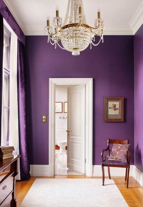 PANTONE Color of the Year 2014 - Radiant Orchid decor - might be fun in my laundry room! Deco Violet, Bold Decor, Purple Interior, Purple Rooms, Purple Decor, Radiant Orchid, Purple Home, Purple Walls, Home Cinema