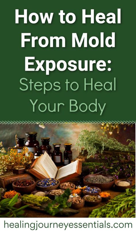 How to Detox From Mold Toxicity Part 2: Healing Your Body | Alternative Medicine Holistic Healing, Mold Toxicity, Detox Herbs, Mold Exposure, Toxic Mold, Holistic Health Remedies, Natural Health Remedies, Alternative Health, Health Info