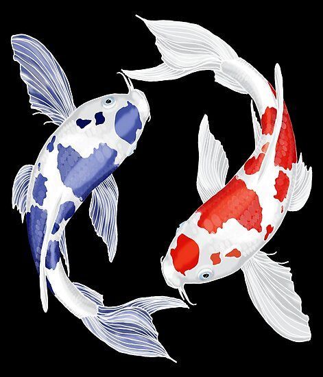 Koi Yin Yang, Blue Koi Fish, Yin Yang Koi Fish, Karp Koi, Yin Yang Koi, Koi Painting, Koi Fish Drawing, Blue Koi, Yin Yang Art