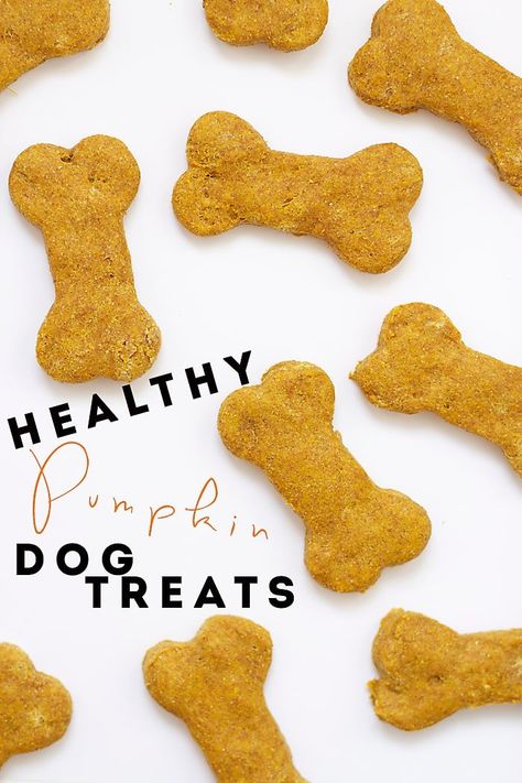 Dog Cookies Recipe Pumpkin, Pumpkin Dog Biscuits, Dog Cookie Recipes, Homemade Dog Cookies, Easy Dog Treat Recipes, Coconut Oil For Dogs, Dog Biscuit Recipes, Easy Dog Treats, Pumpkin Dog Treats