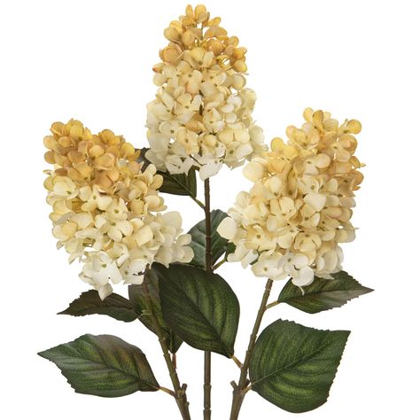 PRICES MAY VARY. 【Add Timeless Charm with Artificial Hydrangeas】Introducing our exquisite collection of Artificial Hydrangea Paniculata, or Panicled Hydrangea/Cone Hydrangea! These stunning fake flowers are the perfect addition to your home, party, wedding space, adding everlasting floral charm and timeless radiance. 【Real Touch Two-Toned Fake Flowers】Crafted with lifelike premium material, these hydrangeas mimic the realistic texture and natural coloration of real flowers, creating a truly auth Large Silk Flower Arrangements, Cone Hydrangea, Stems For Vase, Faux Flowers Arrangements, Fall Floral Stems, Wedding Space, Panicle Hydrangea, Fake Hydrangeas, Faux Hydrangea