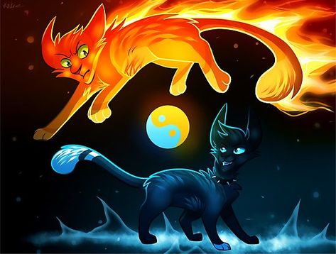 Firestar and Scourge like Yin and Yang, but with warrior cats. Hope u like it, and have fun with it!! Warrior Cats Scourge, Warrior Cats Series, Warrior Cats Books, Warrior Cats Fan Art, Love Warriors, Warrior Cat Drawings, Warrior Cat Oc, Cat Oc, Warrior Cats Art