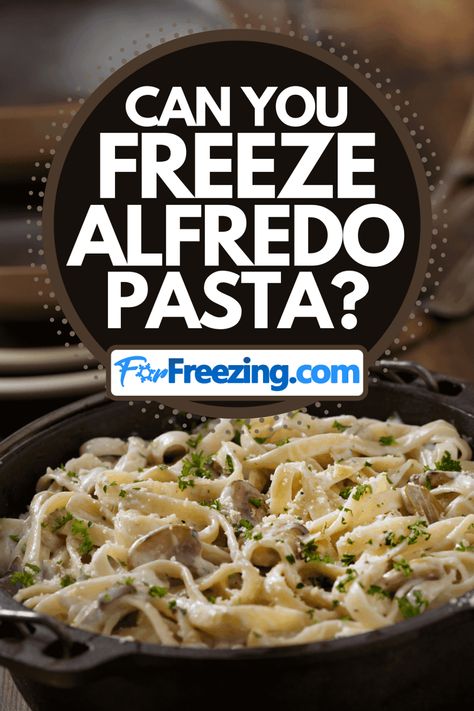 Freezer Fettucini Alfredo, Freezing Alfredo Sauce, Freezing Pasta Dishes, How To Freeze Pasta Meals, Can You Freeze Alfredo Sauce, Freezer Alfredo Sauce, Can You Freeze Cooked Pasta, How To Freeze Pasta, Freezer Chicken Alfredo