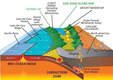 The 40-Ma Western Cascades are the remains of a coastal volcanic arc. The High Cascades are a string of 10-Ma volcanoes. Cascadia Subduction Zone, USA. Subduction Zone, Physical Geography, Geography Map, San Juan Island, Earth And Space Science, Plate Tectonics, E Mc2, Meteorology, Environmental Science