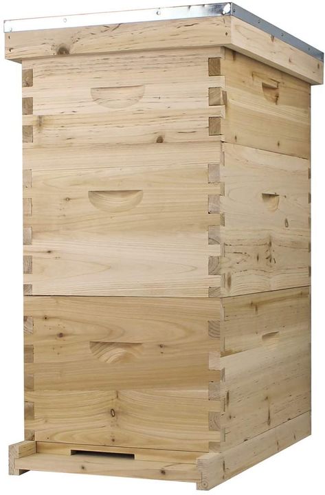 8 Frame Langstroth Hive Dimensions - Complete Beehives Bee Hive Kits, Langstroth Hive, Backyard Beekeeping, Honey Bee Hives, Bee Keeping Supplies, Bee Boxes, Dovetail Joints, Box Package, Dove Tail Joints