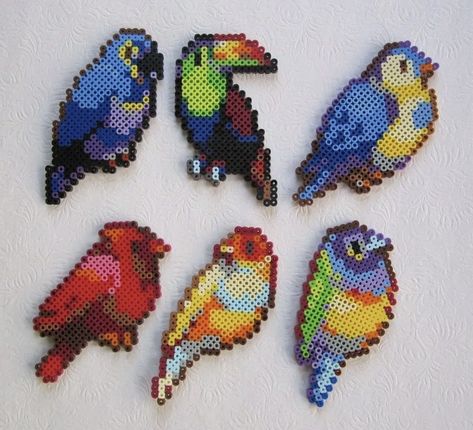 Parrot Perler Beads, Bird Perler Bead Patterns, Perler Bead Bird, Perler Templates, Game Display, Perler Ideas, Beads Art, Perler Art, Hama Bead