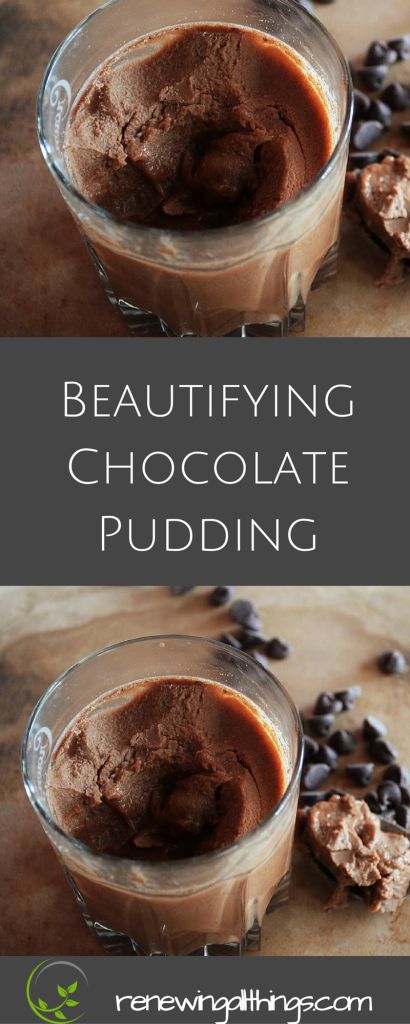 Chocolate Pudding With Gelatin, Homemade Pudding With Gelatin, Gelatin Chocolate Pudding, Pudding With Gelatin, Jello Gelatin Recipes, Gelatin Smoothie, Chocolate Gelatin Recipes, Gelatin Pudding, Desserts Using Gelatin