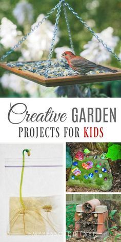 Garden Projects For Kids, Creative Garden Projects, Projects To Do With Kids, Kids Gardening Projects, Insect Activities, Whimsical Garden Art, Gardening Projects, Easy Backyard, School Garden