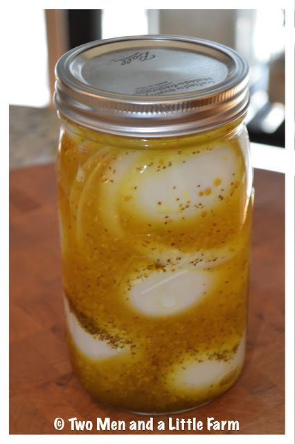 Two Men and a Little Farm: AMISH MUSTARD EGGS RECIPE Dill Pickle Mustard Recipe, Canned Eggs Recipe, Mustard Eggs Pickled, Best Pickled Eggs Recipes, Canning Pickled Eggs, Canning Eggs, Mustard Pickled Eggs Recipe, Pickling Eggs, Egg Preservation