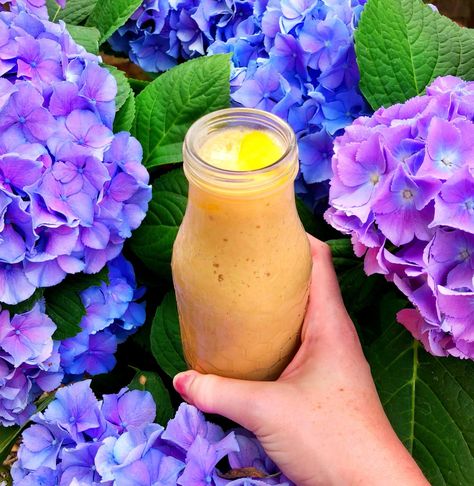 Ginger+Mango Rehydration Gut Friendly Smoothie — A Balanced Belly Ibd Recipes, Smoothie Easy, Dairy Free Smoothies, Sweet Smoothies, Gf Food, Dessert Smoothie, Smoothie Prep, Spoonie Life, Mango Smoothie