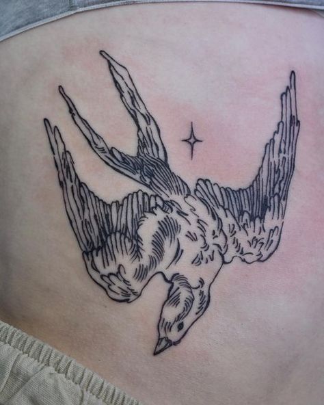 American Traditional Tattoo Ideas, Sparrow Tattoo, Traditional Tattoo Ideas, Funky Tattoos, Female Tattoo Artists, Stomach Tattoos, Bird Tattoo, American Traditional Tattoo, Star Tattoos