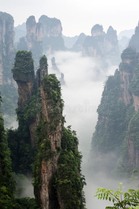 Mount huangshan. The mount huangshan sunrise in anhui province in china , #AFFILIATE, #mount, #huangshan, #Mount, #sunrise, #china #ad Natural Forest, Huangshan, Dnd Campaign, Zhangjiajie, Modern Graphic Art, Beauty Places, Environment Art, Morning View, Biome