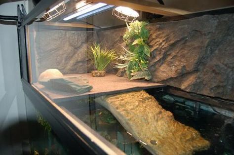 red eared slider tank ideas - Google Search Red Eared Slider Tank, Turtle Setup, Turtle Basking Area, Aquatic Turtle Habitat, Aquatic Turtle Tank, Turtle Tank Setup, Turtle Enclosure, Google Ideas, Turtle Basking Platform