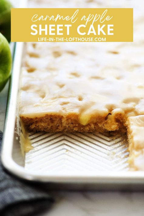 Caramel Apple Sheet Cake is a delicious cinnamon apple cake with a warm caramel glaze. Apple Carmel Sheet Cake, Salted Caramel Apple Sheet Cake, Raw Apple Cake With Caramel Sauce, Sheet Cake Recipes For A Crowd, Apple Pecan Cake With Caramel Glaze, Apple Desserts For A Crowd, Fruit Sheet Cake, Caramel Apple Sheet Cake, Apple Sheet Cake