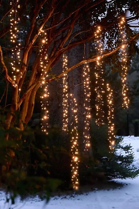 Unique Lamp Shades & Lighting | Anthropologie Porch Eaves, Twinkling Tree, Outdoor Tree Lighting, Cascade Lights, Outdoor Trees, Sparkling Lights, Outdoor Christmas Lights, Unique Lamps, Tree Lighting