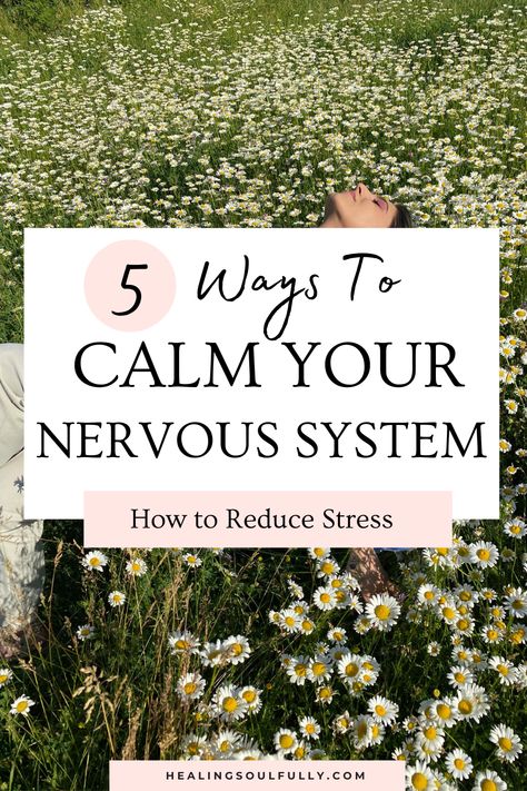 calm the nervous system Regulating Your Nervous System, Healing The Nervous System, How To Heal Your Nervous System, How To Calm Your Nervous System, How To Regulate Your Nervous System, Regulate Nervous System, Biohacking Hacks, Overcome Burnout, Calm Your Nervous System