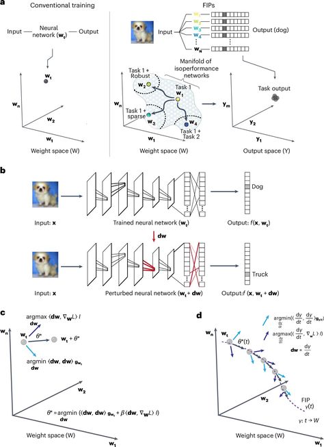 Neural networks have a remarkable ability to learn specific tasks, such as identifying handwritten digits. However, these models often experience "catastrophic forgetting" when taught additional tasks: They can successfully learn the new assignments, but "forget" how to complete the original. For many artificial neural networks, like those that guide self-driving cars, learning additional tasks thus requires being fully reprogrammed. Deep Neural Network, Comptia Network+ Cheat Sheet, Neurotransmitters Brain Neurons, California Institute Of Technology, Convolutional Neural Network, Artificial Neural Network, Network Infrastructure, Neural Network, Medical Research