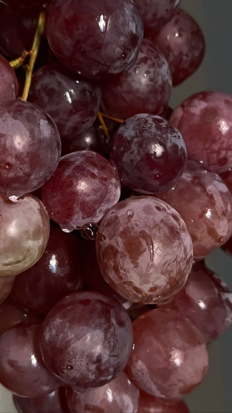 Red Grapes Aesthetic, Purple Fruit Aesthetic, Purple Grapes Aesthetic, Grape Aesthetic, Grapes Aesthetic, Purple Fruit, Bunch Of Grapes, Foodie Instagram, Mombasa