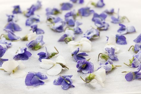 Candied Violets - Healthy Green Kitchen Candied Flowers, Hawaiian Cake, Vegan Egg Substitute, Decorating Easter Baskets, Rock Cake, Lemon Squares, Violet Aesthetic, Easter Egg Basket, Candy Flowers