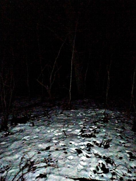 Scary Snow Aesthetic, Eerie Snow Aesthetic, Snow Forest At Night, Snowy Dark Forest, Creepy Snow Aesthetic, Snowy Woods Night, Creepy Snowy Forest, Scary Winter Aesthetic, Cabin In Winter Woods