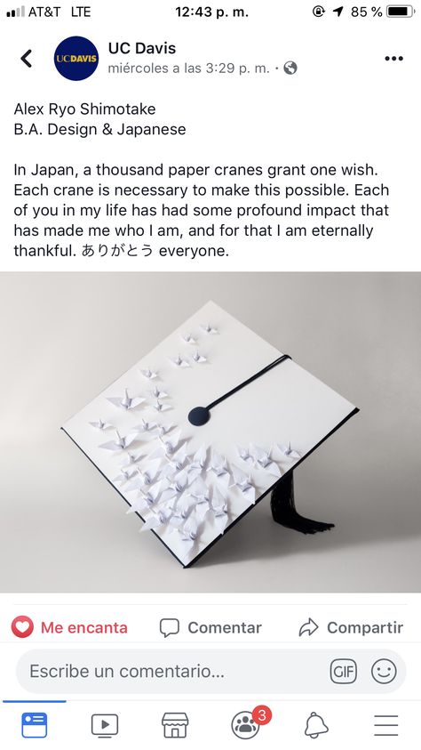 Grad Cap Ideas, College Grad Cap Ideas, Senior Year Of High School, Cap Ideas, One Wish, Paper Crane, Grad Cap, Graduation Cap, Senior Year