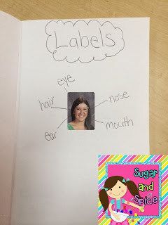 Learning About Nonfiction Text Features {Part 2} - Miss DeCarbo Text Features First Grade, First Grade Ela, First Grade Literacy, Nonfiction Text Features, Literacy Lessons, Nonfiction Texts, Text Features, Kindergarten Reading, In My Room