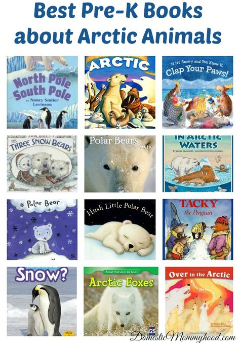 Arctic Animal Books Preschool, Kindergarten Arctic Animals, Arctic Animals Preschool, Arctic Habitat, Animals Preschool, Measured Mom, Winter Unit, Snow Bear, Penguins And Polar Bears