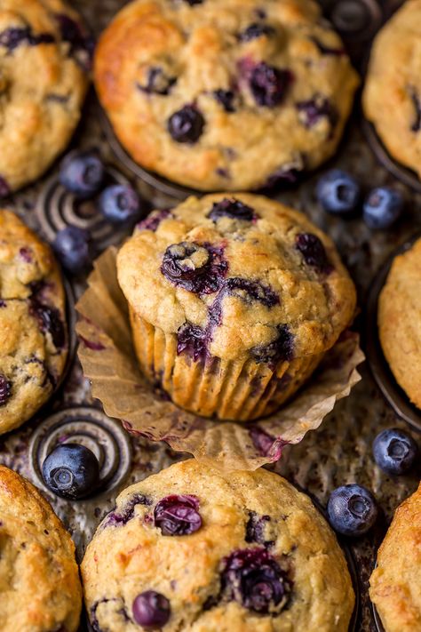 Blueberry Muffins Made With Yogurt, Honey Blueberry Muffins, Greek Yogurt And Honey, Blueberry Muffin Recipe Healthy, Healthy Blueberry Muffins, Yogurt Muffins, Baker By Nature, Jumbo Muffins, Healthy Greek Yogurt