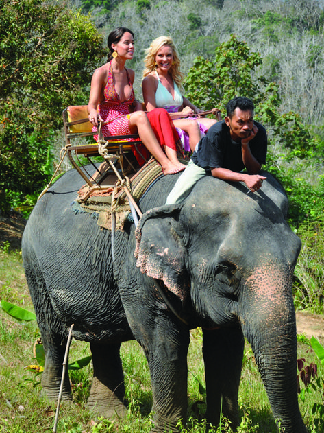 Cara Zavaleta & Bridget Marquardt riding an elephant in Thailand Riding An Elephant, Bridget Marquardt, Thailand Elephants, Elephant Ride, An Elephant, Bucket List, Thailand, Elephant, Animals