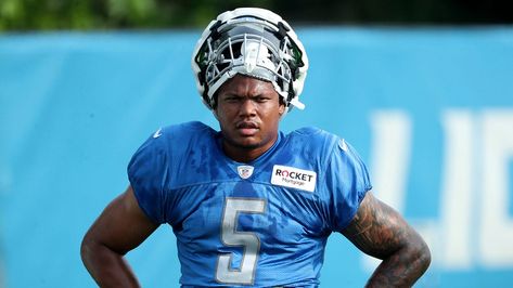 Lions' David Montgomery, girlfriend hit with lawsuit after alleged pitbull attack Pitbull Attacks, David Montgomery, Civil Lawsuit, In Law Suite, Detroit Lions, Thing 1 Thing 2, Tampa Bay, Pitbull, Hot Water