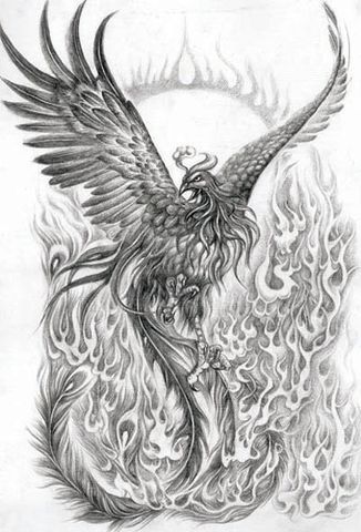 Phoenix Drawing by KKLani, via Flickr Phoenix Tattoo Arm, Phoenix Tattoo Sleeve, Tato Phoenix, Phoenix Drawing, Phoenix Bird Tattoos, Phönix Tattoo, Kunst Tattoos, Phoenix Tattoo Design, Initial Tattoo