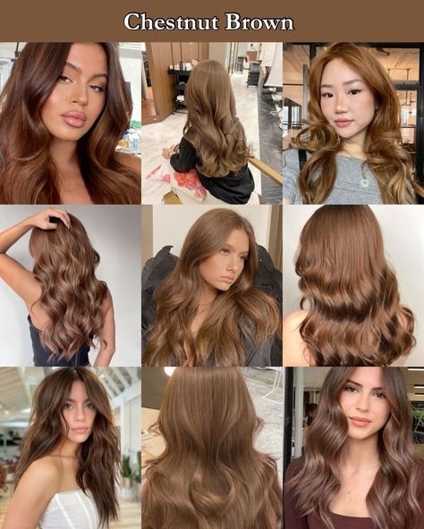 Chestnut Brown Hair Inspiration Types Of Brown Hair Dye, Different Types Of Brown Hair Color, Chestnut Hair Color Light, Sepia Hair Color, Light Brown Chestnut Hair, Hair Colour Tan Skin, Type Of Brown Hair Shades, Chesnutt Brown Color Hair Straight, Chestnut Brown Aesthetic