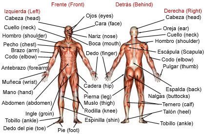 Medical Spanish Terminology  | PT Classroom - Medical Spanish Tips for Physical Therapists ׀ by Chai ... Medical Interpreter Spanish, Medical Interpreter, Spanish Tips, Medical Spanish, Spanish Help, Basic Spanish, Spanish Colors, Spanish Basics, Learning Spanish Vocabulary