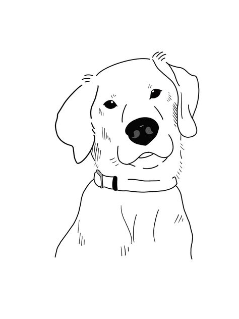 Black Lab Cartoon Drawing, Drawing Of Labrador, Punch Needle Drawing, Labrador Drawing Cartoon, Lab Dog Drawing, Labrador Drawing Simple, Easy Dog Drawing Simple, Draw Labrador, Dog Doodle Drawing