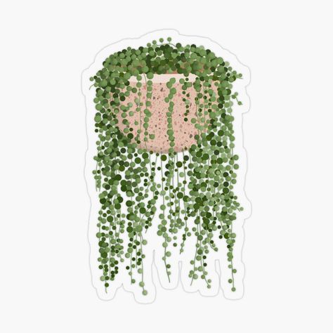 Plants Illustration, String Of Pearls Plant, Nursery Illustration, Homemade Stickers, String Of Pearls, Plant Illustration, Plant Art, Canvas Designs