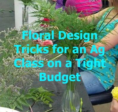 Sometimes you have to make your lesson work with what is available. Use these tricks to get more done with your floral design class. - OLT Agriculture Education Classroom, Ag Science, Ag Education, Greenhouse Design, Ag Teacher, Floral Design Classes, Design Tricks, Agriculture Education, Greenhouse Plans