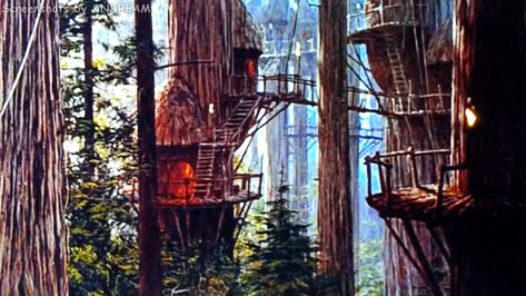 The Ewoks village... Best Tree Houses, Ewok Village, Ewoks Star Wars, Battle Of Endor, Wars Aesthetic, Swiss Family Robinson, Forest Moon, Tree House Diy, Oc Board