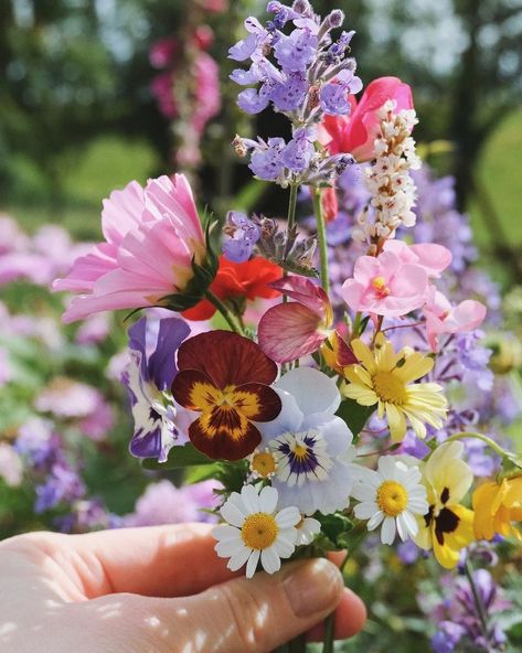 Sensory Photography, Wild Flower Aesthetic, Best Garden Design, Wedding Game, Color Vibe, Garden Aesthetic, Nothing But Flowers, Garden Design Ideas, Flower Therapy