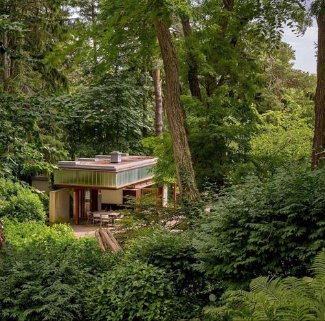 Shim Sutcliffe, Slow Roads, Light Green Walls, Reflecting Pool, Mid Century House, Beautiful Architecture, Toronto Canada, Interior Design Studio, House Inspo