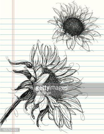 Sunflower sketches on notebook paper. The artwork and paper are on separate labeled layers. Sunflower Sketches, Fineliner Art, Sunflower Drawing, Couple Drawing, Sunflower Tattoos, Desenho Tattoo, Plant Drawing, Sunflower Tattoo, Sunflower Art